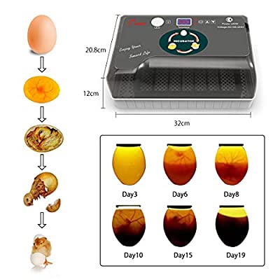 楽天市場】SOHAPI インキュベーター 自動孵卵器 孵化器 自動転卵 大 