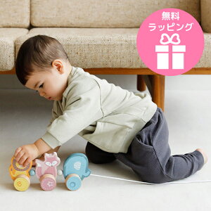 Polar B ˂˃gC Ki |[[r[ xr[ Ԃ c ؂̂ VR a NX}X v[g xmas  蕨  ǂԂ ߋ j̎q ̎q oYj 1Βa 
