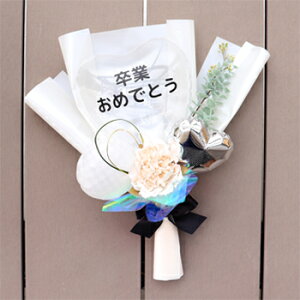   ~Io[ u[P v[g \ a j ٓ ސE a a U Mtg j _X sAm   n[tl 10 20 60  j̎q ̎q