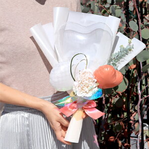   ~Io[ u[P v[g \ a j ٓ ސE a a U Mtg j _X sAm   n[tl 10 20 60  j̎q ̎q