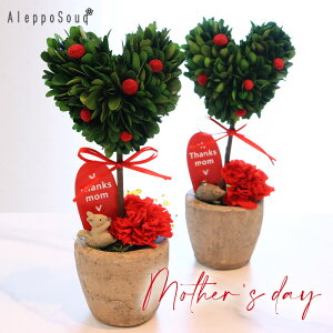 母の日 ハートトピアリー カーネーション mother'sday プリザーブドフラワー グリーン 葉っぱ 動物 りす はりねずみ うさぎ ハート 花 お母さん プレゼント フラワーギフト お祝い 誕生日 トピ