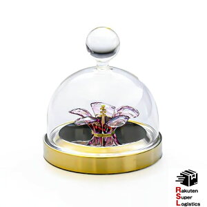 �ŋ��z�� �X�����t�X�L�[ SWAROVSKI �N���X�^���t�B�M���A Garden Tales �p�[�v�� �K���X�� S �I�u�W�F �C���e���A 5619224 �N���X�^�� �u���yRSL�z