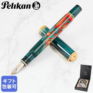 ペリカン Pelikan 万年筆 2025限定色 アートコレクション Rudi Rother ルディ・ローザ M600 ペン先EF(極…