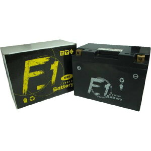 9�������ח\�� �yF-1 [MF�o�b�e���[]�z [F1�o�b�e���[] FTZ12S [CBR1100XX][�u���b�N�o�[�h][PS250][VFR800][�V���o�[�E�C���O] ���K�� [YTZ12S][GTZ12S][TTZ12S] �݊��i [�I�[�g�o�C�p]�yMF�o�b�e���[�z