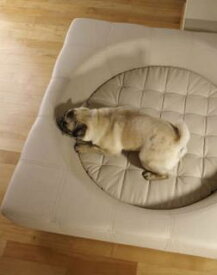 ドイツ発最高級小型犬用ベッド Cube・レザー 高級家具 ペット家具 ペットインテリア 犬用ベッド 犬 ベッド ソファ ドイツ製 受注生産 送料無料