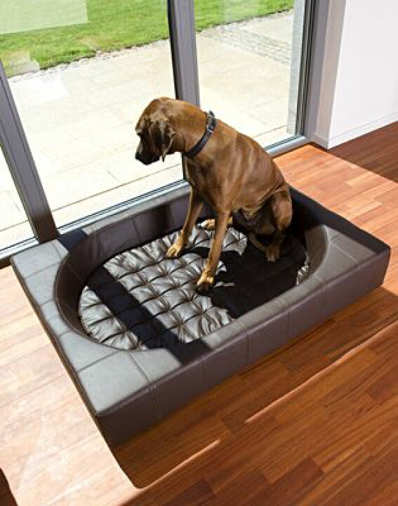 楽天市場 ドイツ 最高級ベッド 大型犬用 犬用ベッド Cube イミテーションレザー ハンドメイド 高級 ペット ペット用 家具 ベッド 犬用家具 Pet Furniture クラフトマンシップ レザー張りペットペット 送料無料 アルファ ヴィータonlineshop 楽天市場 ドイツ 最高級ベッド 大型犬用 犬用ベッド Cube イミテーションレザー ハンドメイド 高級 ペット ペット用 家具 ベッド 犬用家具 Pet Furniture クラフトマンシップ レザー張りペットペット 送料無料 アルファ ヴィータonlineshop