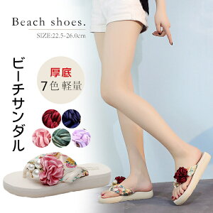 S7F r[`T_ ԕ fB[X @y T_@₷ { C ɂȂ ̎q W[p r[T 傫TCY p  킢 ~  ā@y