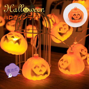 nEB ڂ Cg pvL ڂ჉Cg   nEB[ C~l[V  pvL LED S6m Rt _ h v[g  CeA K