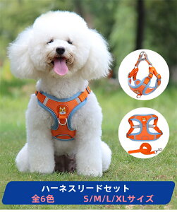 n[lX[h Zbg p Lp  ybgpi n[lX [h ^ ^  AEghA U o  킢 dog cat }`[Y pO V[Y[ L