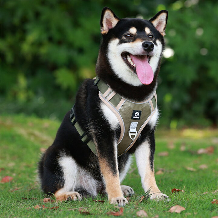 楽天市場 4色選べる 送料無料 ハーネス ペット用品 犬 胴輪 胸当て 中型犬 大型犬 ワンちゃん 夜間 反射 丈夫 介護用 首輪 アウトドア 散歩 かわいい かっこいい おしゃれ ゴールデン レトリバー 柴犬 秋田犬 ジャーマンシェパード ラブラドール リードは別売り