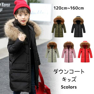 ݌ɏ@Z[ _ER[g LbY q jp AE^[ _EWPbg O t@[t[ht g h H~ ʉ ʊw JWA o 120cm-160cm 