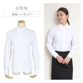 ⇒ポイント3倍!! ブラウス レディース シャツ 長袖 ニットシャツ ノーアイロン ストレッチ 制服 レギュラー 事務服 おしゃれ 無地 伸びる 速乾性 オフィス 伸縮性 イージーケア テレワーク ● sun-ll-st-1491 メール便で送料無料 2枚は2通