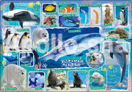 ジグソーパズル すいぞくかんのにんきもの 35ピース APO-25-232 パズル Puzzle 子供用 幼児 知育玩具 知…