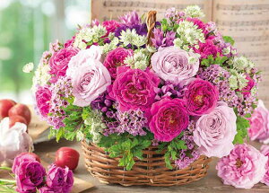 �W�O�\�[�p�Y�� �o���F�̃G�`���[�h 500�s�[�X APP-500-299 �p�Y�� Puzzle �M�t�g �a���� �v���[���g