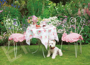 WO\[pY A[`[̓eB[^Ĉ݂͂΂ 2000s[X EPO-79-509s mCP-SSn pY Puzzle Mtg a v[g