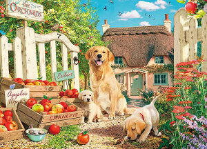 WO\[pY qƃAbvK[f(XeB[uE[h) 500s[X APP-500-325 pY Puzzle Mtg a v[g