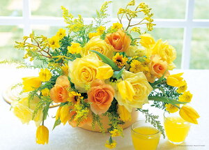 �W�O�\�[�p�Y�� �C�G���[�E�n�[���j�[ 500�s�[�X YAM-05-1006 �p�Y�� Puzzle �M�t�g �a���� �v���[���g