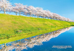 WO\[pY Ɍsu̍Â݉L tv 300s[X CUT-300-447 pY Puzzle Mtg a v[g