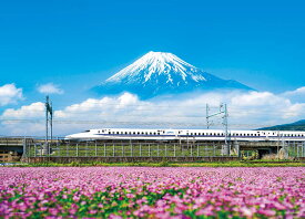 ジグソーパズル れんげの花と富士山 （静岡） 500ピース YAM-05-1016 ［CP-SI］ パズル Puzzle ギフト 誕生日 プレゼント あす楽対応