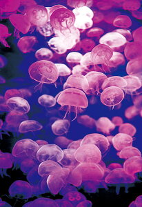 �W�O�\�[�p�Y�� �[�C����̒���� 1053�s�[�X EPO-79-177 �mCP-HI�n