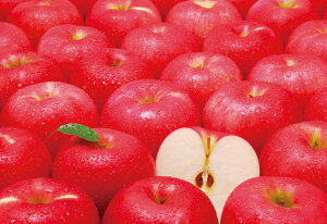 �W�O�\�[�p�Y�� �����S����̒���� 1053�s�[�X EPO-79-363 �p�Y�� Puzzle �M�t�g �a���� �v���[���g