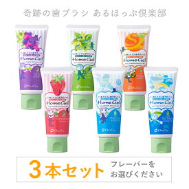 【最安値に挑戦中】【歯磨き粉】ホームジェル 3本セット 65g（う蝕予防ジェル 虫歯予防 むし歯 歯質強化 キシリトール配合）