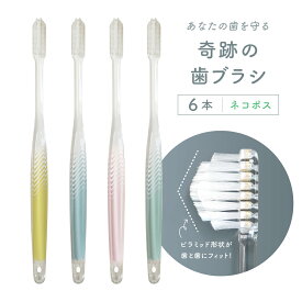 公式【送料無料】奇跡の歯ブラシ〈パステル〉 6本セット 簡単 磨ける ピラミッド なぞるだけ 磨き残し 歯茎 歯周病 歯並び 歯間 オーラルケア 虫歯 むし歯 歯肉炎 汚れ 口臭 ハブラシ ホワイトニング 美白 つるつる 大人用 日本製