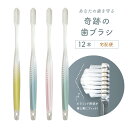 牙刷｜公式【 】奇跡の歯ブラシ〈パステル〉 12本セット おすすめ 歯科医 ランキン…