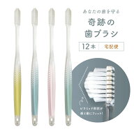 公式【送料無料】奇跡の歯ブラシ〈パステル〉 12本セット おすすめ 歯科医 ランキング ホワイトニング 3…