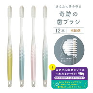 公式【送料無料】奇跡の歯ブラシ〈パステル〉 12本セット おすすめ 歯科医 ランキング ホワイトニング 3…
