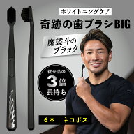 公式 奇跡の歯ブラシBIG 魔裟斗のブラック 6本 おすすめ 歯科医 ランキング ホワイトニング 5列 ピラミッ…