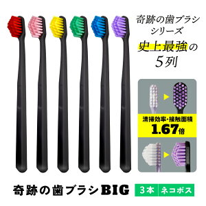  Ղ̎uVBIG 3{Zbg  Ȉ LO zCgjO 5 s~bh Ȃ邾ŉꂪ s a   I[PA  ނ   