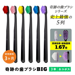  Ղ̎uVBIG 3{Zbg  Ȉ LO zCgjO 5 s~bh Ȃ邾ŉꂪ s a   I[PA  ނ   
