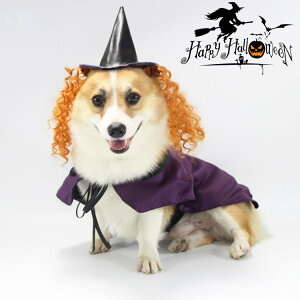 中型犬 ペット服 犬用 着ぐるみの通販 価格比較 価格 Com