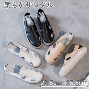 RtH[gT_ T_ fB[X Xb|   2.5cmq[ {v }WbNe[v XgbvT_ ₷ r ɂȂ V[Y tČC ăT_