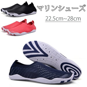 yzr[`V[Y }V[Y ʋC  jO Y  p y _炩 AEghA ʋC 