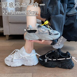 Xj[J[ fB[XC C jO _bhXj[J[  킢 _炩 4cm K Xj[J[ fB[X Ȃ 22.5cm~25cm x[W zCg IW ubN U  