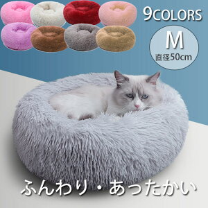 L xbh  xbh MTCY ^ ybgxbh  ~ ӂӂ NbV g ybgNbV  NbV Lxbh xbh ~ 􂦂   ybgpi e 