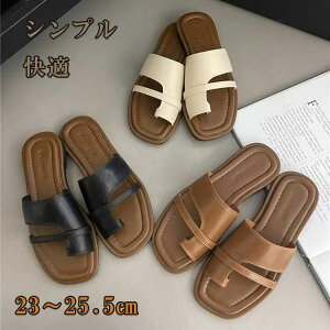 Xbp fB[X T_ y  O p  [V[Y w Ǝ ƎQ wZs  K ~ ₷ gOT_  VvfUC OJ