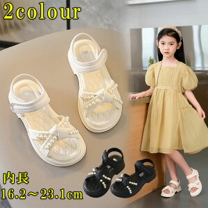 T_ ̎q K[YV[Y ʊw LbYT_ xr[V[Y qC    ėp C tH[}C _XV[Y K[Y oGV[Y  t ăr[` AEgh