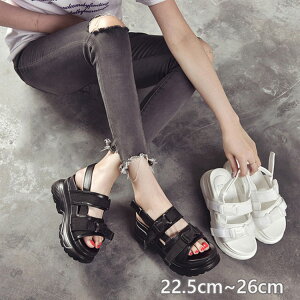 yzXj[J[T_  T_ X|[c fB[X 7.5cm\[ 킢 r[`T_ y TCY 傫TCY AEghA ɂȂ ₷  ʋC