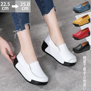 JV fB[X ؂ JVV[Y  t y 5cm {v C ʋC  JV[t@[ V[Y 킢 _炩 K 傫TCY RtH[gV[Y 