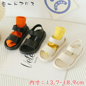 X|[cT_ qC 킢 ̎q j̎q q ct w LbY  ₷ T_ 킢 y^R w ǂ ubN x[W AEghA WjA 