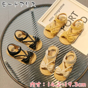 T_ ̎q qC q lC  LbY ₷ AEghA WjA w T_ 킢 U[ y^R w ct q ǂ  ubN CG[ x[