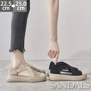 yzT_ fB[X hJ[X  5cm  ؂ T_ ₷ T_ ₷  Ȃ V[Y Xgbv fB[XC 傫TC