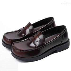 [t@[ fB[X w C ʊw [q[  Z v vC  F q w LbY WjA TCY ubN V[Y ꂢ 22-25cm tF~j  킢