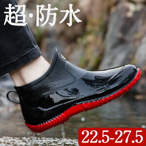 CV[Y C Cu[c Y C V[g AEghA Sh Ȃ JC EhgD y IV ₷ h ނ  ₷ L _ K[fjO 