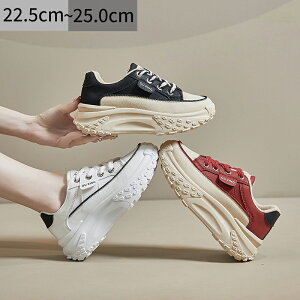 yz Xj[J[ fB[X WjA ʊwC x[W sN u[ Xj[J[ fB[X ʊw w oZ wZ d Vv V[Y  r fB[XV[Y