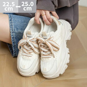 2025V fB[X Xj[J[ C  ʋC bV JWA V[Y X|[c V[Y ₷ y  K ₷ ʋ ʊw lC t@bV gh