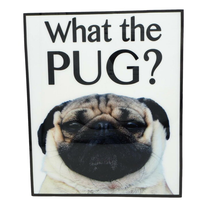 楽天市場 送料無料 What The Pug パグ 犬 アートパネル 壁掛け 据え置き 壁掛けフック付き アーティスト Popパネル インテリア アートフレーム ポスター インテリアアートパネル ポップアートパネル クール 面白い かっこいい アート 雑貨 カフェ リビング 額付き